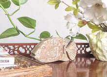 Home Decor. Table Decor-Storage Accessory.
Hand Carved Wooden Fish, Trinket / Puzzle Box, "Pacific Fish".