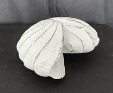 Home Decor: Tabletop Showpiece. Handcrafted Wooden Decorative Nautilus Shell.