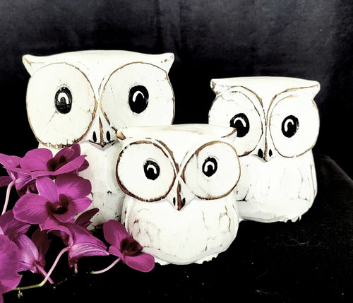 Home Decor: Set of Three Hand Carved Wooden Owl Figurines, 