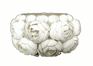 Table Decor Lighting: 
Bowl Shaped Natural Sea shells Tea Light Holder.