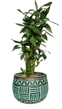 Home Decor: Handmade Carved Tribal Line Pattern Wooden Bowl.