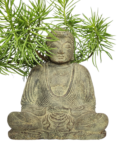 TABLE - OUTDOOR DECOR: Beautiful Stone Meditating Buddha, sitting in Lotus Pose.