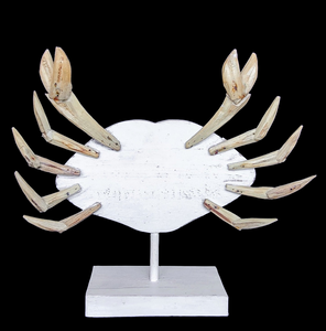 Home Decor: Tabletop Accent. Wooden Handcrafted Crab Sculpture. "Mr. Crab".