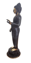 Home Decor. Tabletop Idol. Enlightened Lord Buddha Bronze Standing Sculpture.